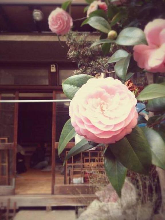 Gomaharu Guesthouse Osaka Eksteriør billede